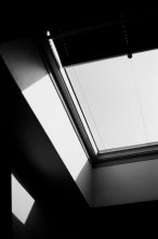 pexels-1434506-10242080