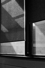 pexels-bingqian-li-230971044-28792258