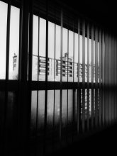 pexels-kushal-shah-1071719-15049390