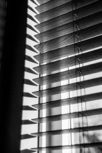 pexels-witheline-30682989